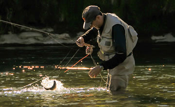 Pesca con mosca